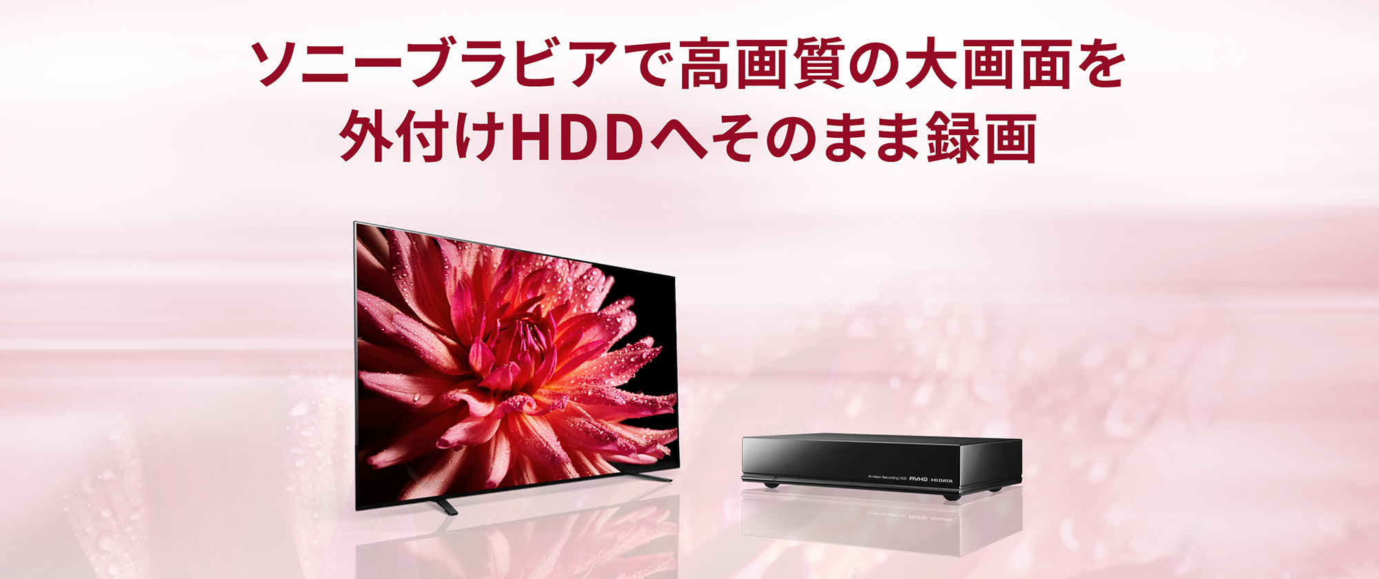 ソニーブラビアで高画質の大画面を外付けHDDへそのまま録画 | アイ