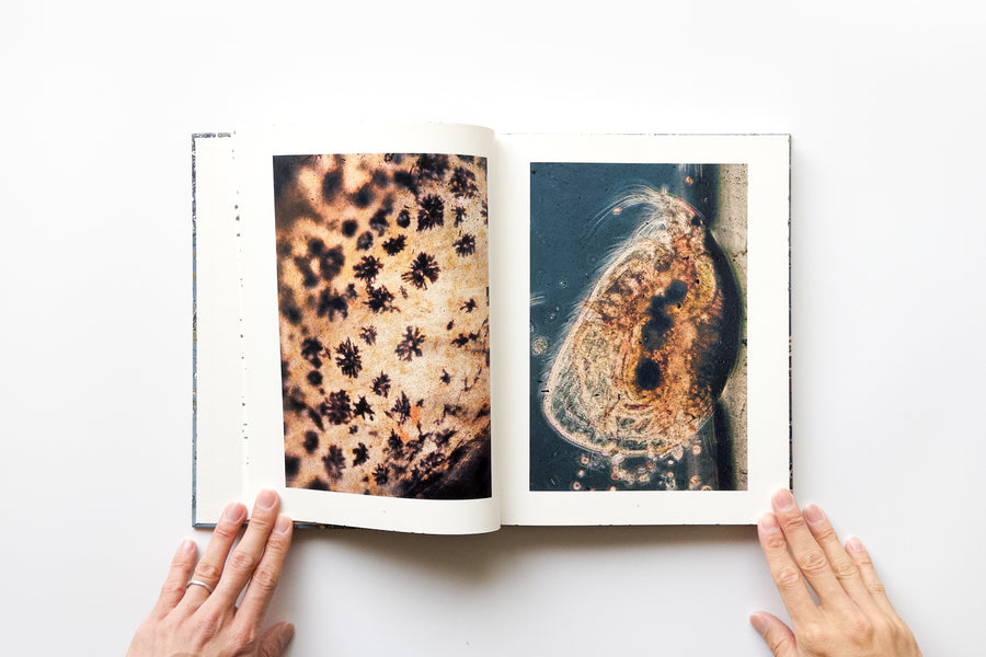 ジュン OUTSIDE IN スティーブン・ギル アートブック ジュン OUTSIDE