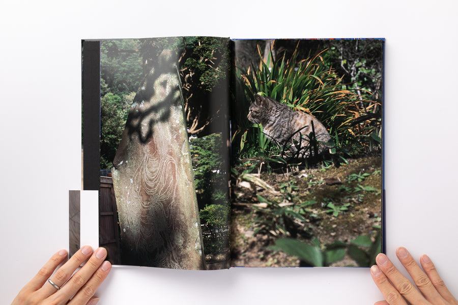 Mint) Documentary by 中平卓馬 – IACK