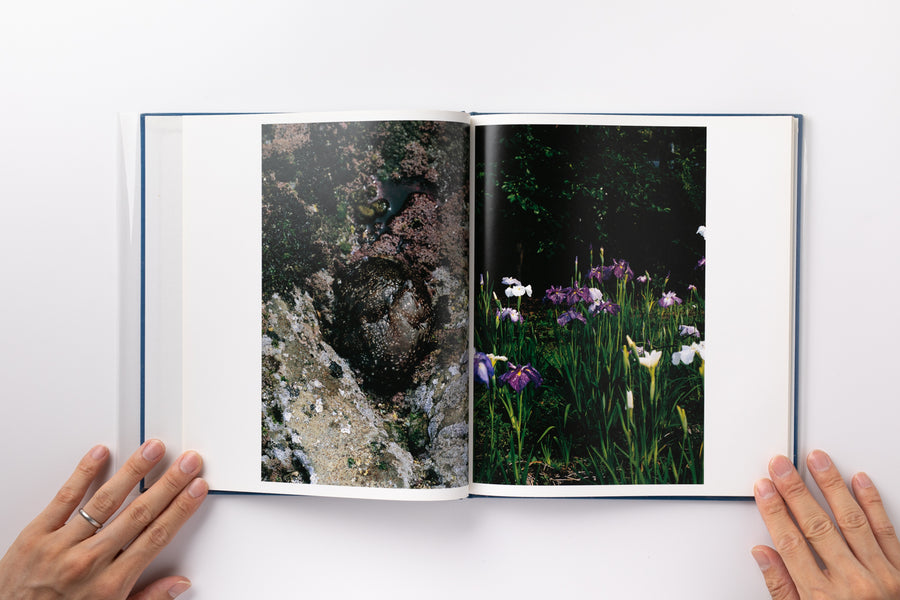 Hysteric Six by 中平卓馬– IACK