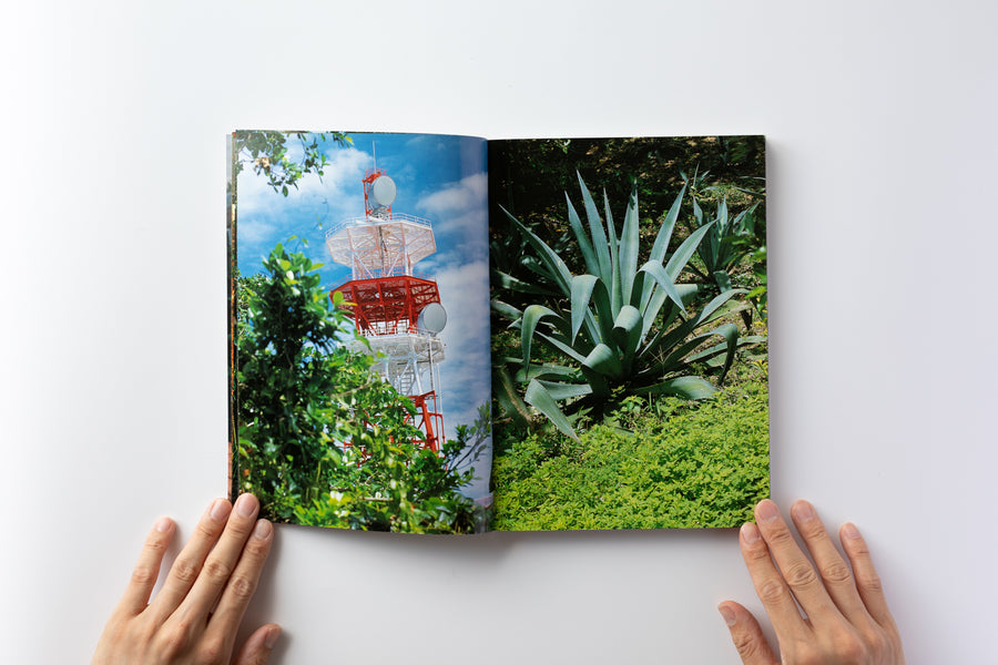 中平卓馬: 原点復帰 — 横浜 – IACK