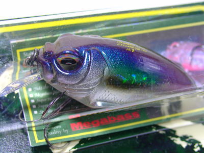 MEGABASS / CYCLONE SR-X | IchibanTackle.com