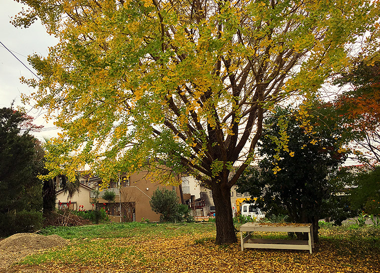 リトグラフ 黒木周氏 Partition W45×H57 K-2504IN32 リトグラフ 黒木周