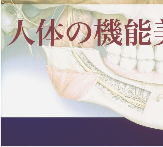 プロメテウス解剖学アトラス 口腔・頭頸部 第2版』立ち読み