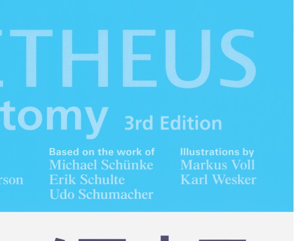 プロメテウス解剖学コアアトラス 第3版』 立ち読み