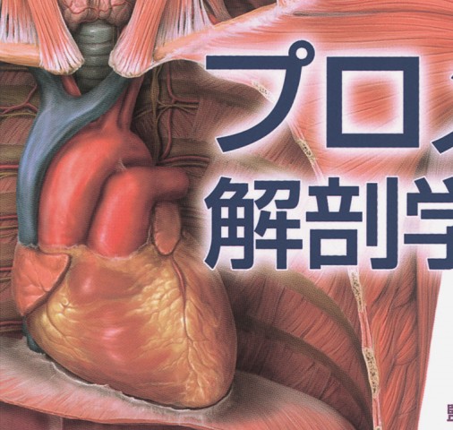 プロメテウス解剖学アトラス コンパクト版 第2版』立ち読み