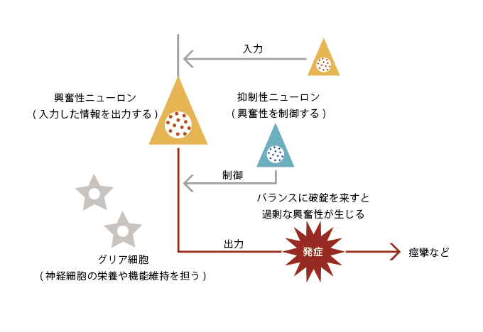 てんかん ｜ 身近な医学研究情報 ｜ 公益財団法人 東京都医学総合研究所