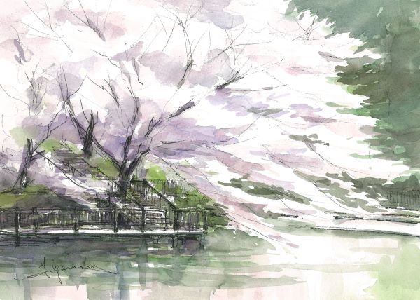 五十嵐吉彦の水彩画 【真作】絵画 五十嵐清徳 日本画8号 朝顔 涼やかな