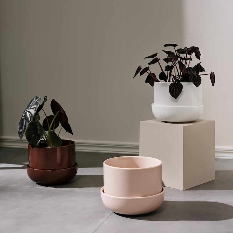 ナップラ プラントポット&ソーサー 170x130mm ホワイトiittala/Arabia