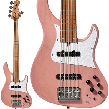 Bacchus 【入荷待ち、ご予約受付中】 WL524-H.J.FREAKS (PINKS