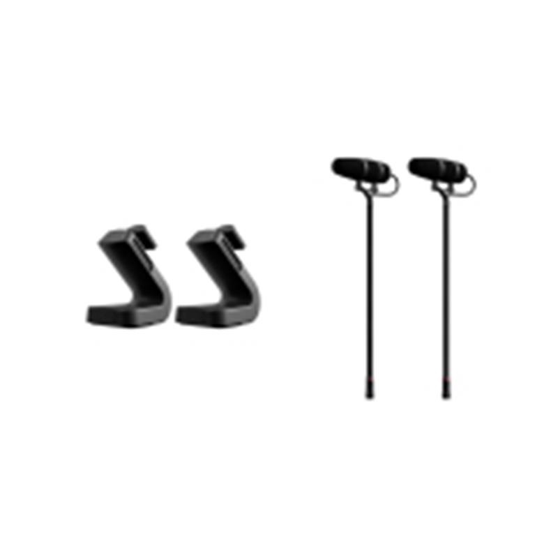 DPA 4099-DP-1-101-P ピアノセット (ディーピーエー)(4099 CORE+)(