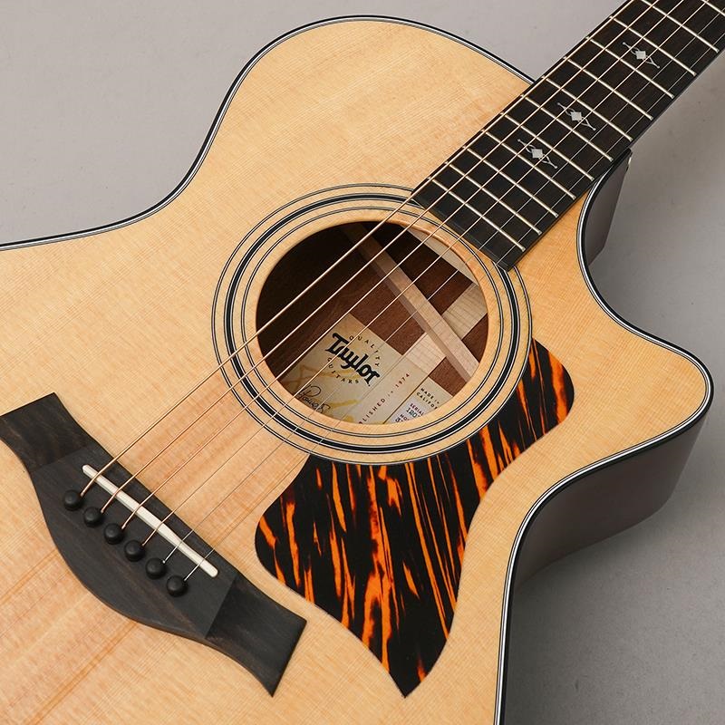 TAYLOR 312c テイラー ｜イケベ楽器店オンラインストア
