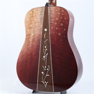 Headway HD-SAKURA DX'24 SF，S-ESU/ATB 【フォトアルバム「桜ギター