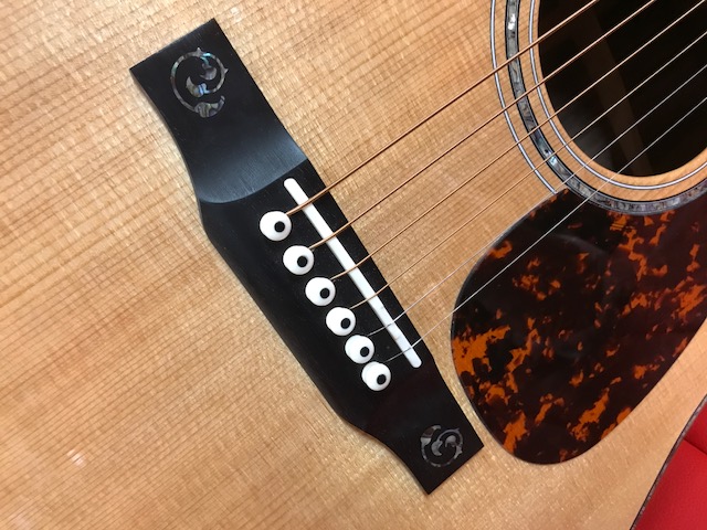 隠れた逸品！Larriveeのドレッドノート | イシバシ楽器スタッフブログ