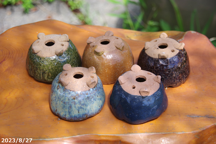 山野草の石田精華園 / アウトレット 萬古焼 植木鉢 竹鳳作 手びねり