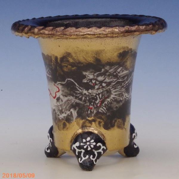 山野草の石田精華園 / 万年青錦鉢(長生蘭錦鉢)