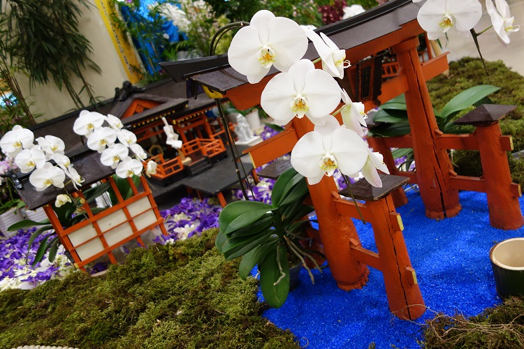 厳島神社が、蘭に染まる！ | 磯野製麺