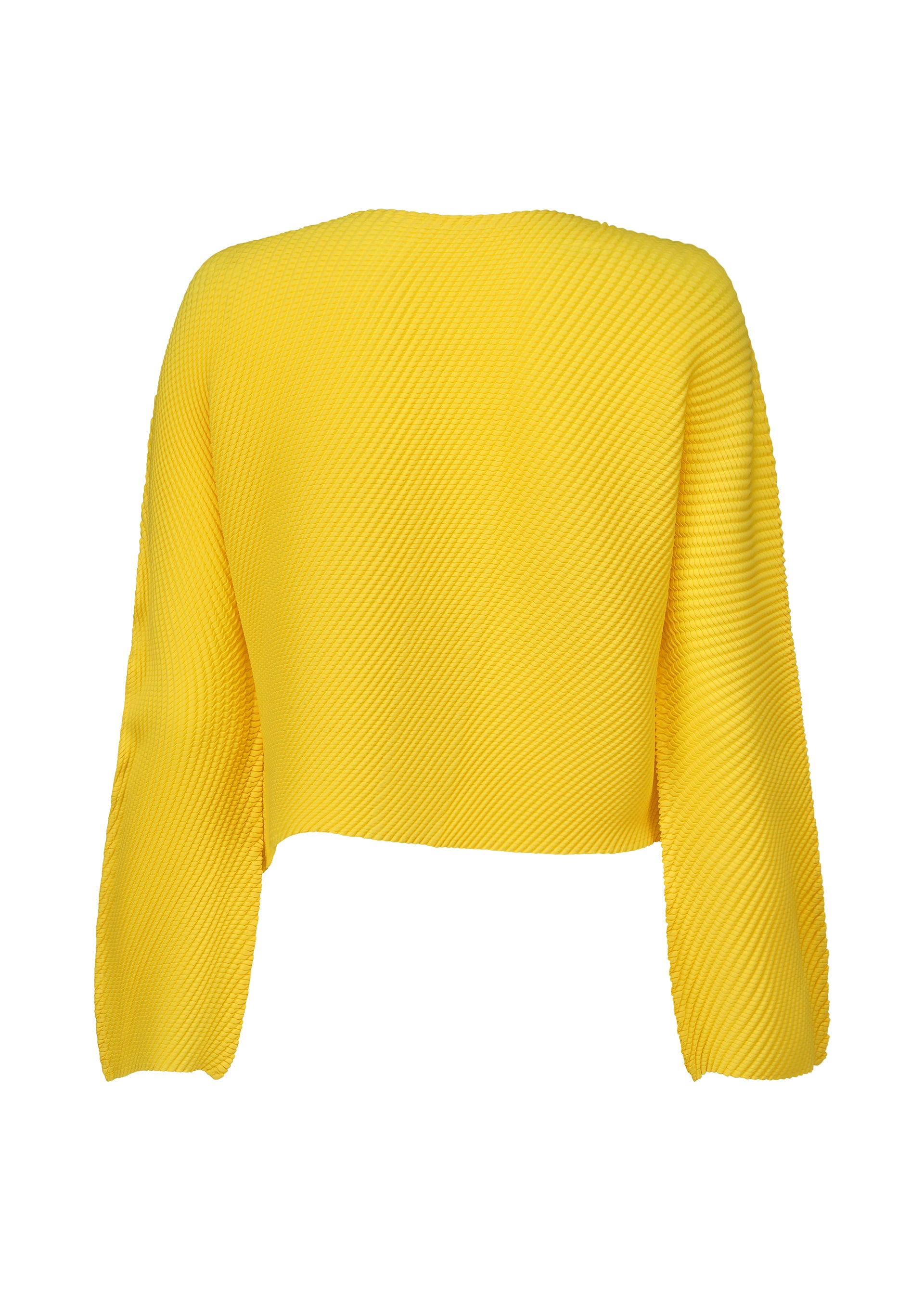 SHIFTED MISTY PLEATS – isseymiyake.com