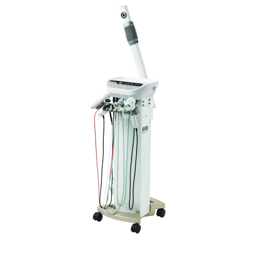 タカラベルモント エトロワヴァン スタンダード＜Etoroit XX＞BM