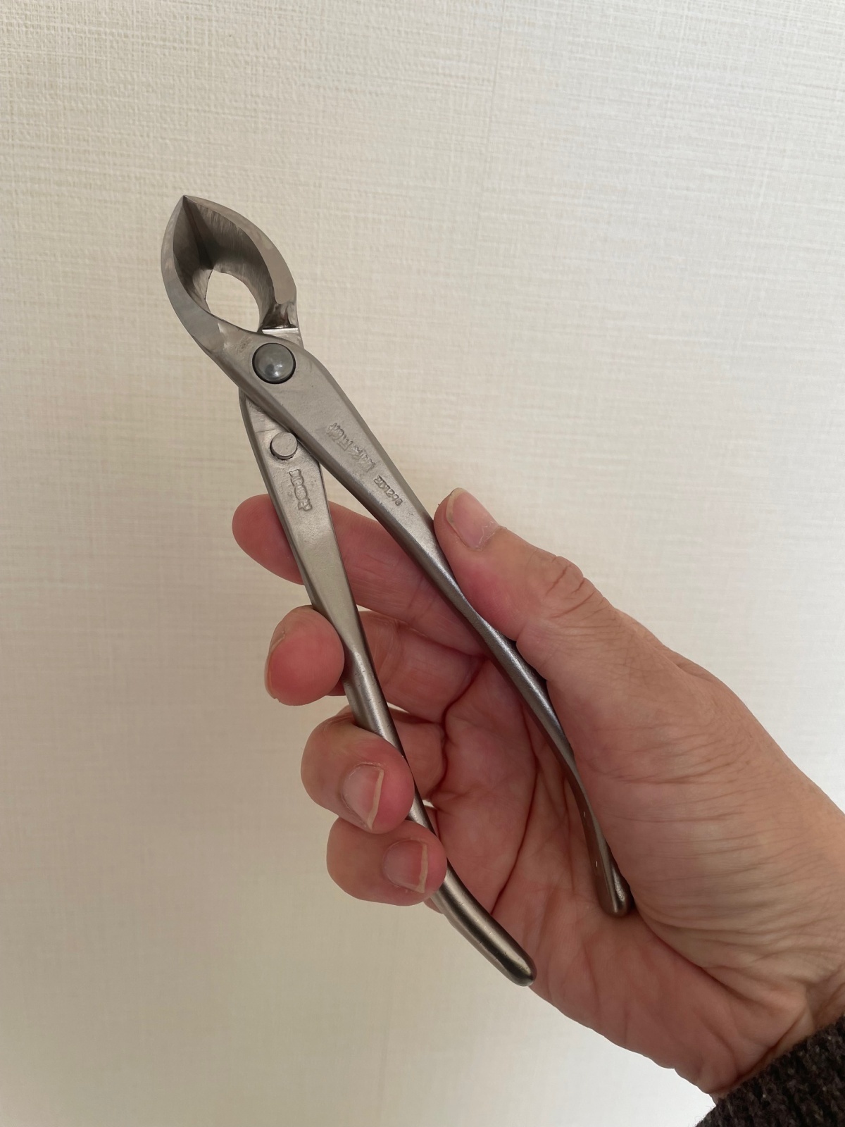 No.8116 白染め又枝切(小) - Bonsai Network Japan