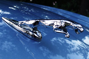 アクセサリー | JAGUAR ( ジャガー ) /JO-YA.com