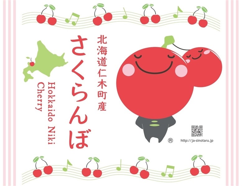 紅秀峰800g】JA新おたるのさくらんぼ（200g×4パック）ゆう
