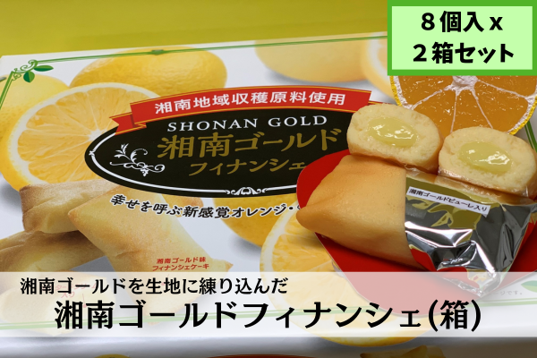 湘南ゴールドフィナンシェ（箱）（8個入り×2箱）: JA全農かながわ