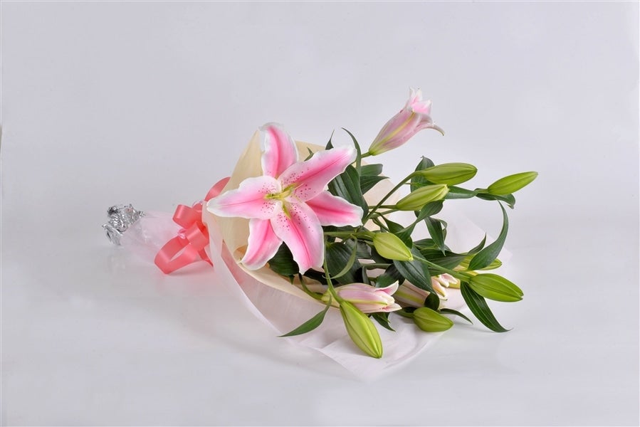 ユリ（ピンク） 栃木県産: とちぎ新鮮倉庫|【JAタウン】産地直送