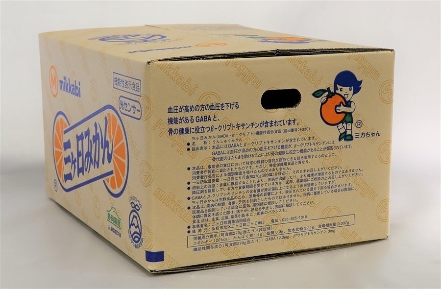 三ヶ日早生みかん（良品）L 8kg JAみっかび≪11月11日(月)以降順次