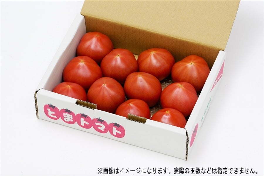 JA静岡市 とまトマト 3kg（1kg 箱入 × 3ケース）: ブランドショップ