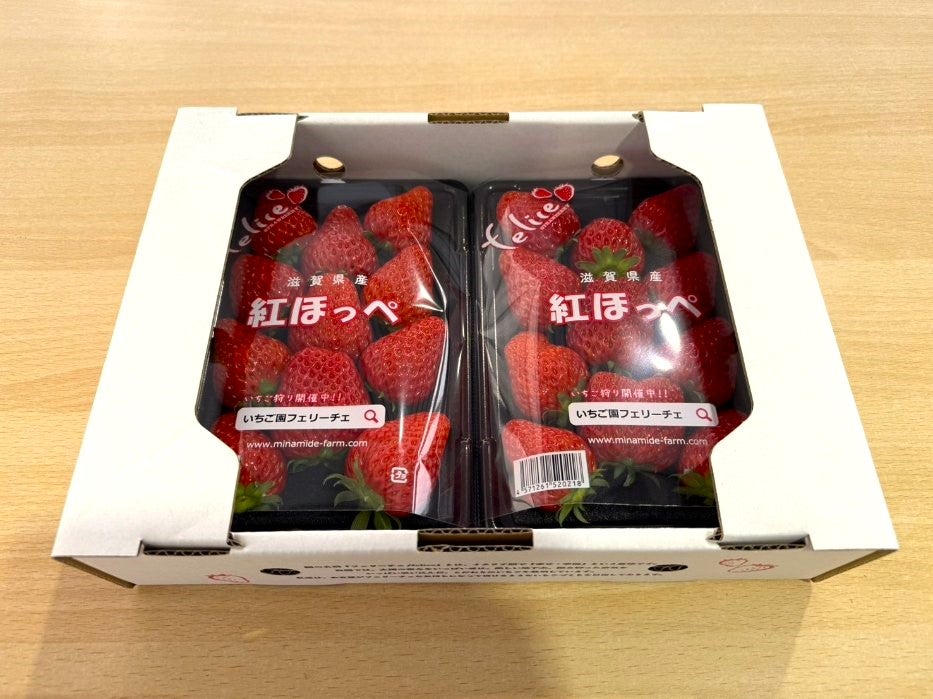 滋賀県産いちご「紅ほっぺ」2Lサイズ 約250g×2パック: 近江の味彩