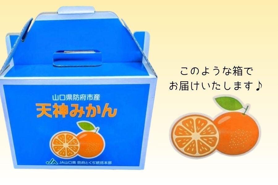 防府市産 天神みかん 約3kg: 正直やまぐち|【JAタウン】産地直送