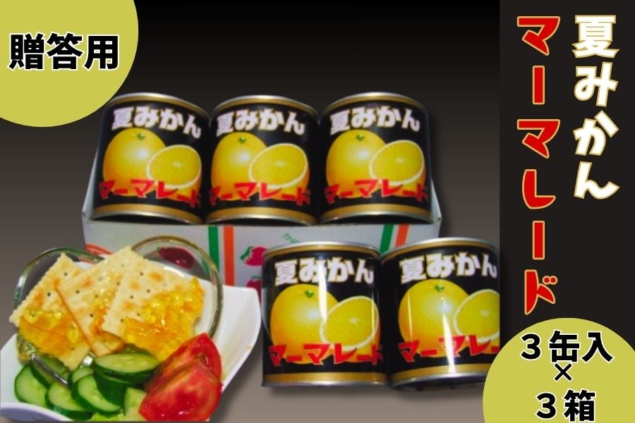 夏みかんマーマレード(贈答箱入り)(370g×3缶入)×3箱: 正直やまぐち