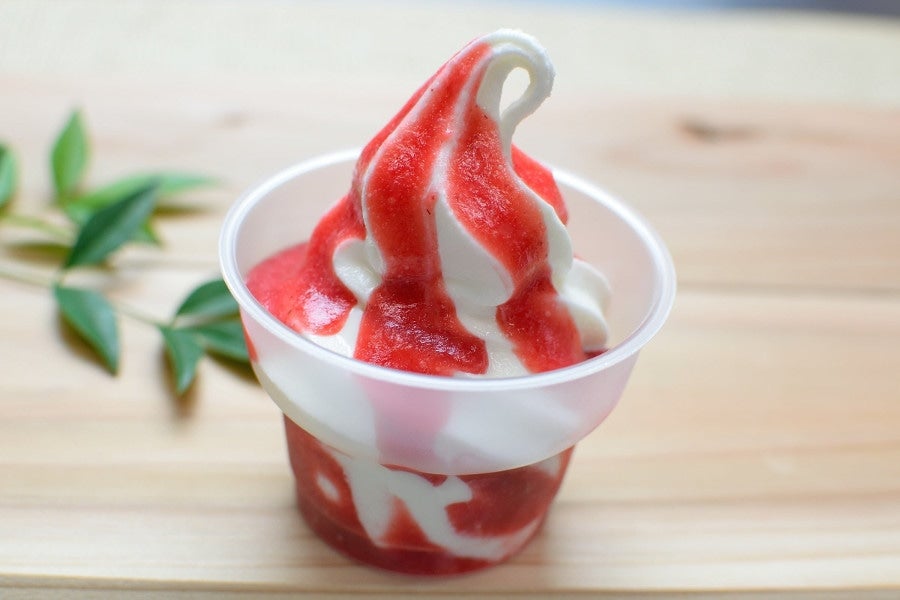 生きてる乳酸菌ヨーグルトカップアイス3種8個セット: しまね