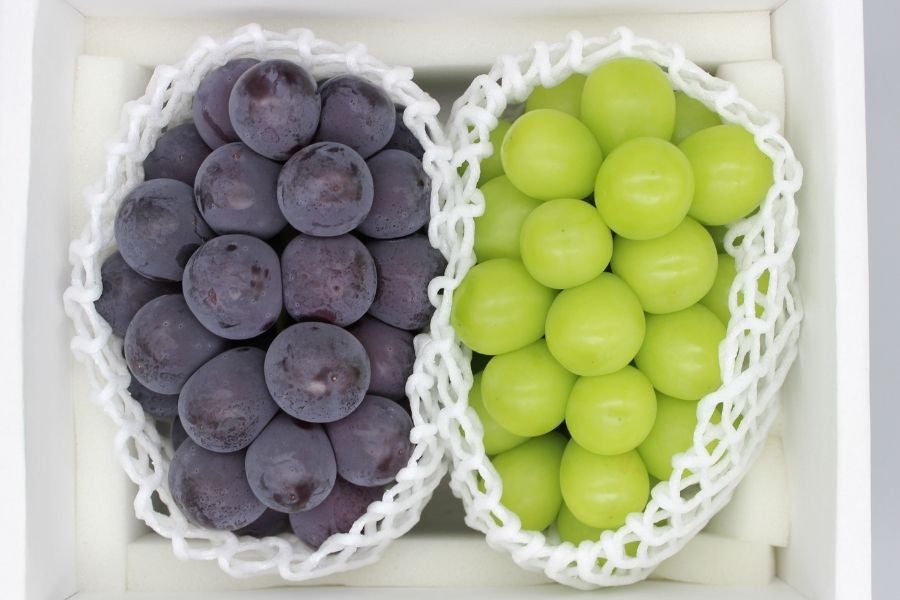 シャインマスカット&ニューピオーネ 各1房詰（8月下旬頃～9月下旬