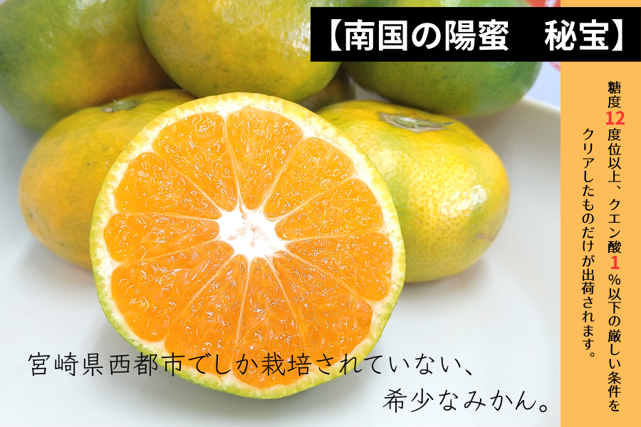 西都産 マルチ栽培みかん 【南国の陽蜜 陽宝】 5㎏: JAみやざき Tege