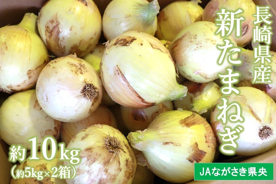 予約販売】C 長崎県産 新たまねぎ 約10kg ※4/6より順次出荷予定 JA