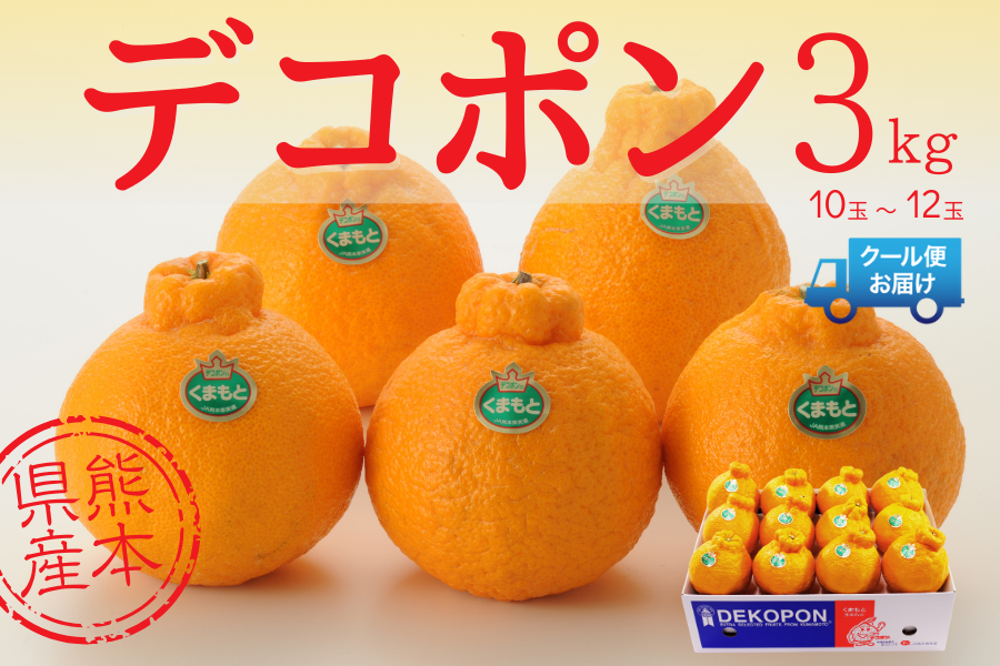 熊本県産 デコポン約3kg【冷蔵便】: you+youくまもと 農畜産物市場