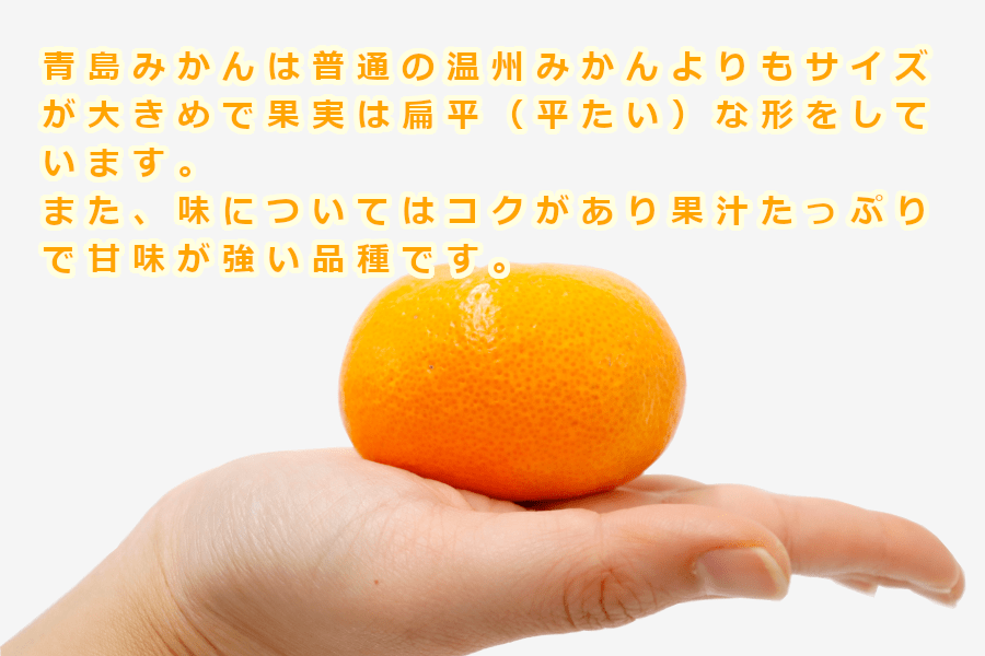 特選みかん「夢の恵」品種：青島みかん（Lサイズ・4㎏入）: JA熊本市