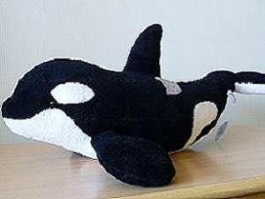 新プラン「2017年度 80cmシャチぬ..」登場！/鴨川シーワールドホテル