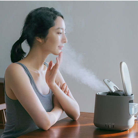 Panasonic Nanocare Steamer EH-SA0B | Japan Trend Shop