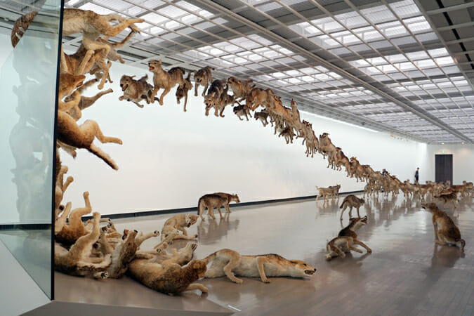 芸術のふるさとへの原点回帰、蔡國強による7年ぶり日本個展「帰去来