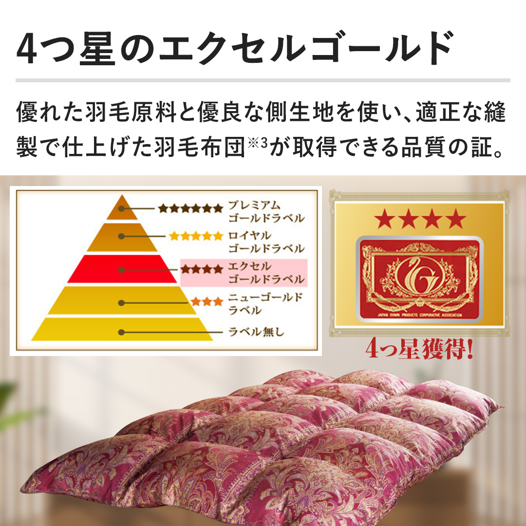 モリリン 布団・快眠グッズ エクセルラベル羽毛布団 ダブル ワイン
