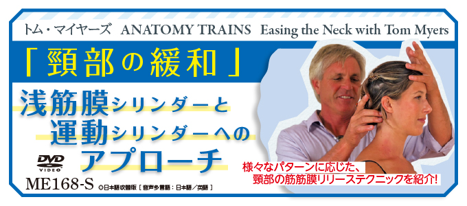 トム ・ マイヤーズ ANATOMY TRAINSEasing the Neck with Tom Myers