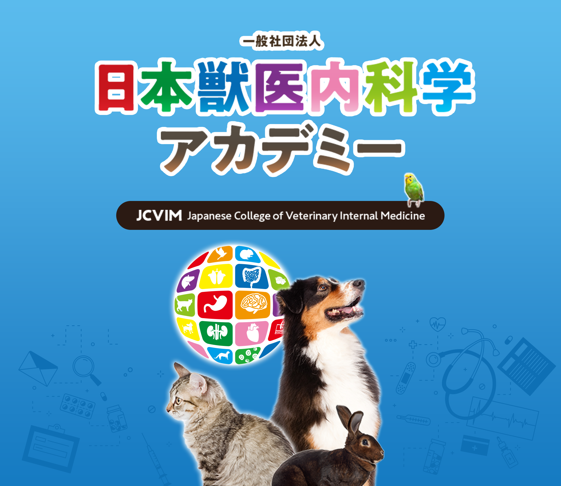 日本獣医内科学アカデミー（JCVIM）