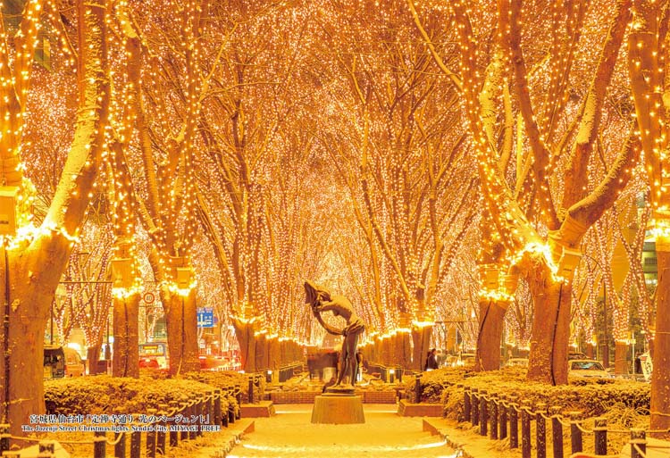 CUT-300-385 風景 宮城県仙台市「定禅寺通り 光のページェント」 300