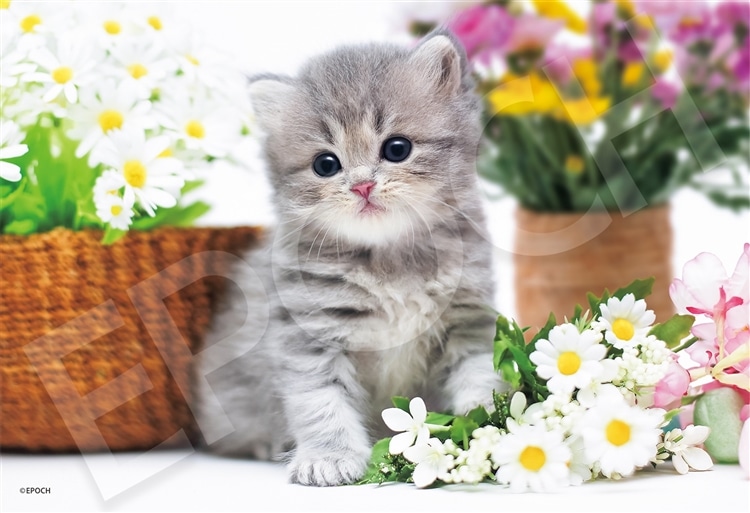 EPO-28-051s ペット・動物 おすましねこちゃん 300ピース ［CP-CA