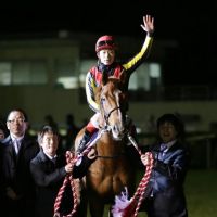 ◎引退レースの有馬記念で圧勝 中央競馬…：奇跡の馬 オルフェーヴル