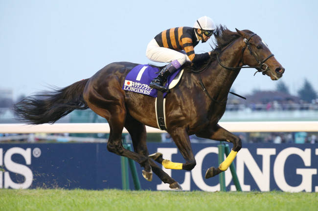 ジャパンカップを制した武豊騎乗のキタサンブラッ…：キタサンブラック