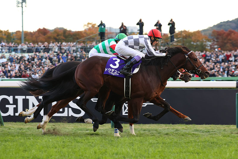 ドウデュース ウェルカムチャンス 2024年ジャパンカップ優勝